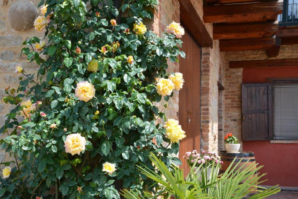 Da Fabiana Bed & Breakfast Bossolasco Luaran gambar